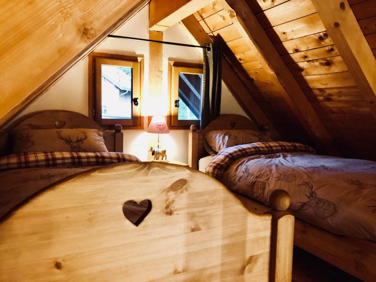 Ecrins Lodge Le Bourg-dʼOisans Екстериор снимка